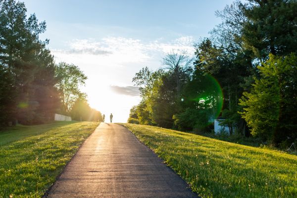 Cost of Asphalt Pathway Installation in Bellevue