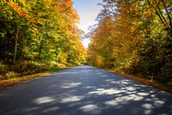 Cost of Blacktop Replacement in Bellevue